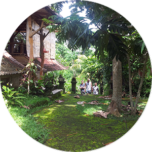 Activity - Sua Bali