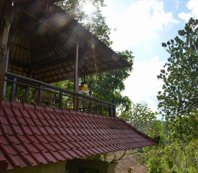 Bale Gajah - Sua Bali