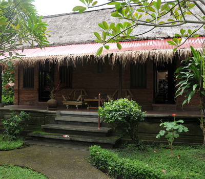 Surrounding - Sua Bali