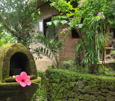 Surrounding - Sua Bali