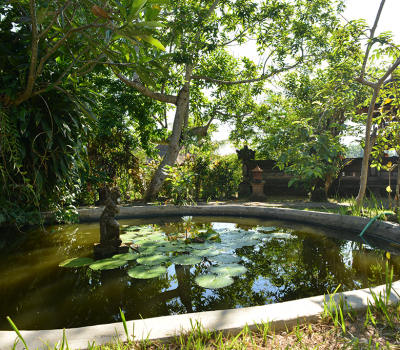 Surrounding - Sua Bali