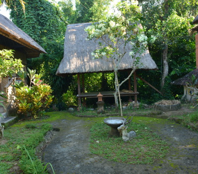 Surrounding - Sua Bali