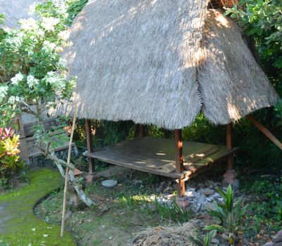 Surrounding - Sua Bali