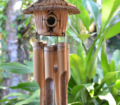 Surrounding - Sua Bali