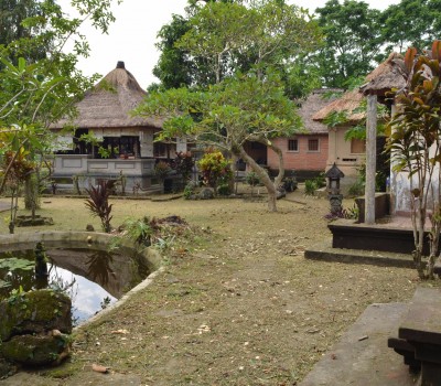 Surrounding - Sua Bali